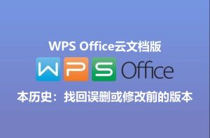 WPS云协作冲突？版本回溯与修复技巧