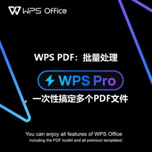 WPS：批量处理文件技巧，1 分钟搞定百份文档