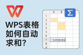 WPS：表格基础函数用法，求和 / 统计不用愁